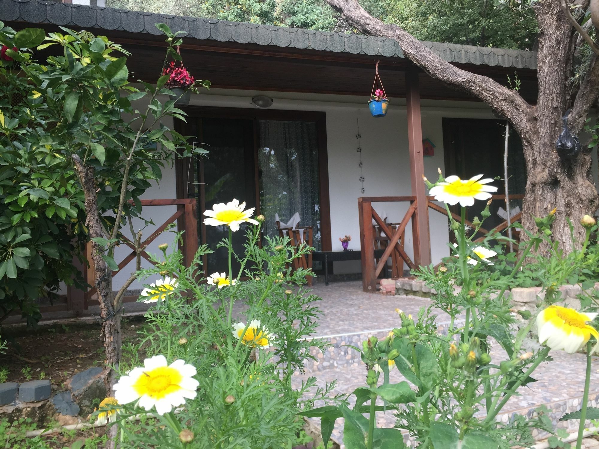 Lagoon Boutique Otel Ölüdeniz Zewnętrze zdjęcie
